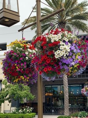 Meet your Posher, Marilda